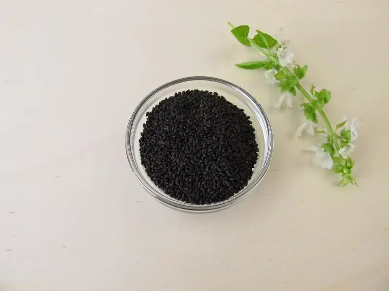 How to harvest basil seeds