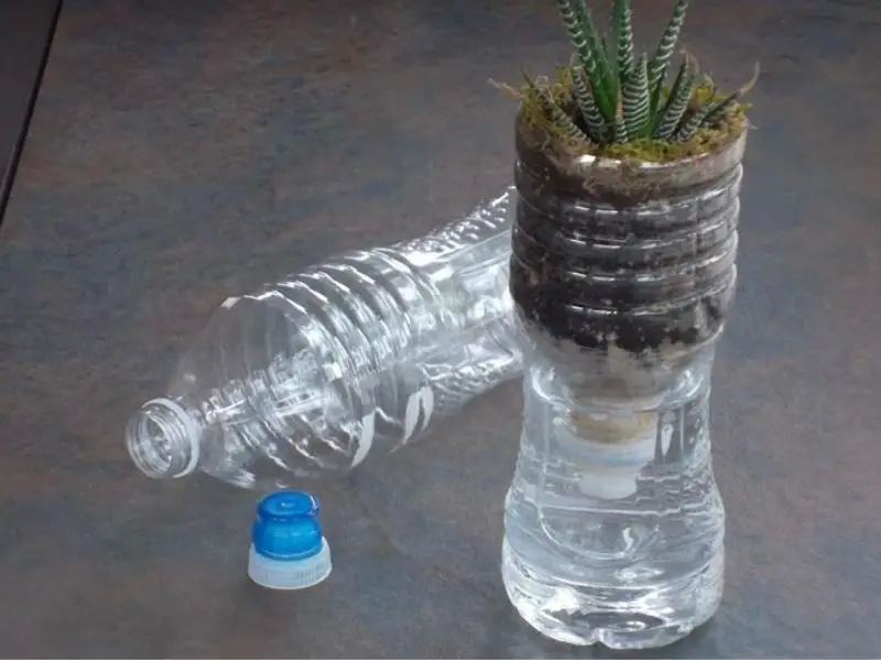 Sports Bottle self watering