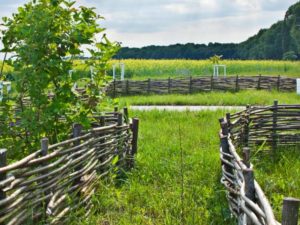 Wattle Fence