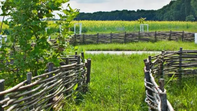 Wattle Fence