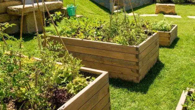 garden bed fence