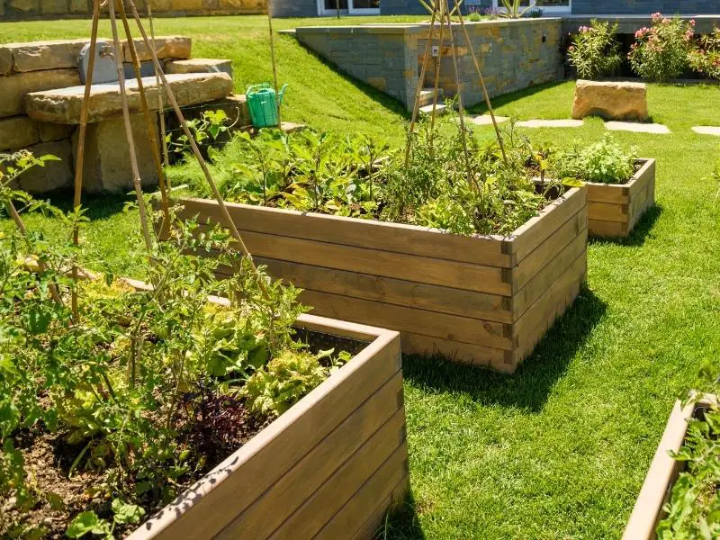 garden bed fence