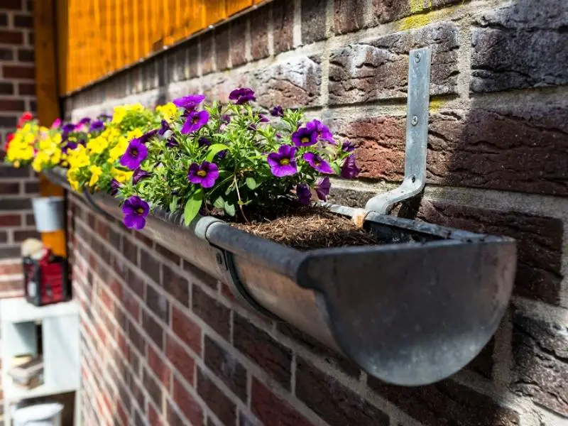 gutter garden