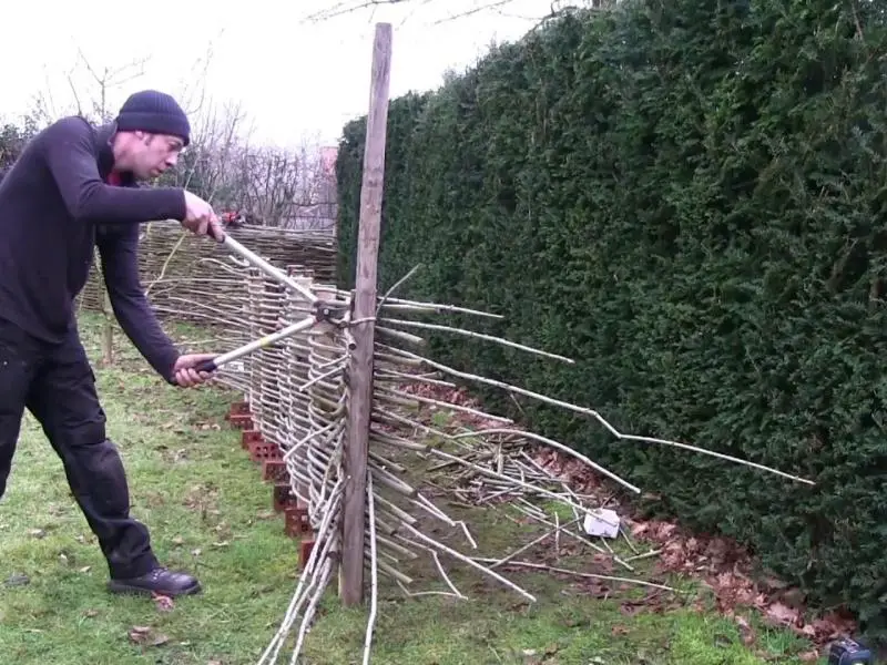 a man making a wattle fence