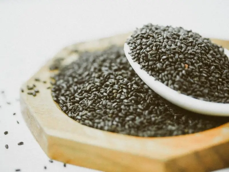 storing basil seeds