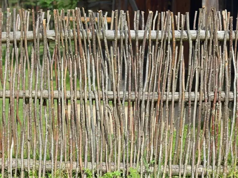 traditional wattle fence