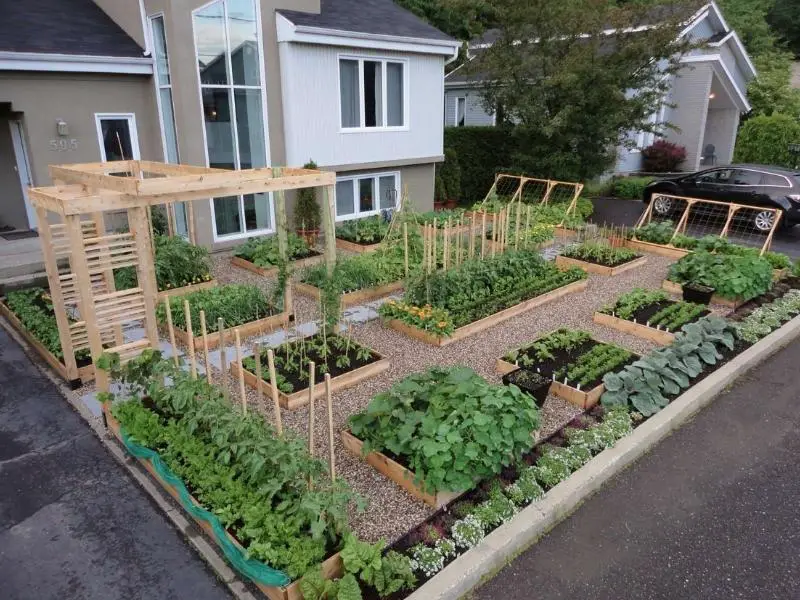 Fall Garden Layout