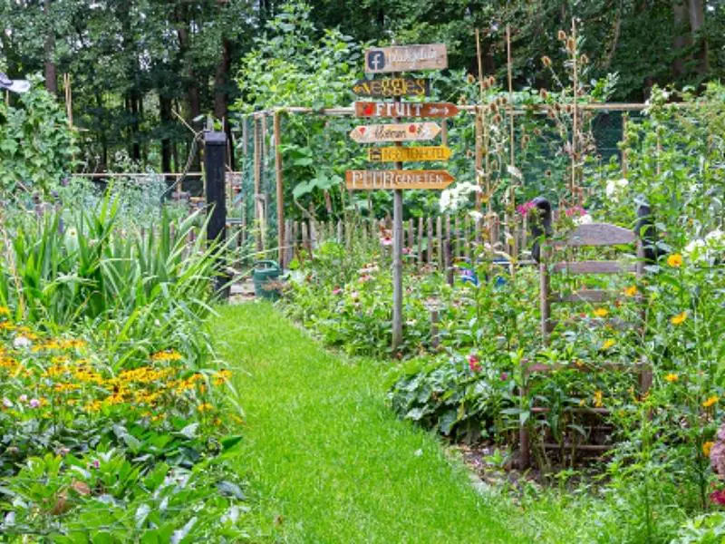 Planning a Fall Garden